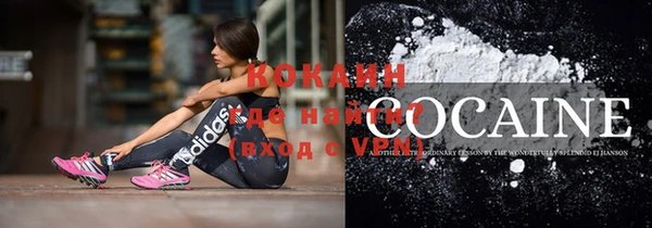 стафф Ельня