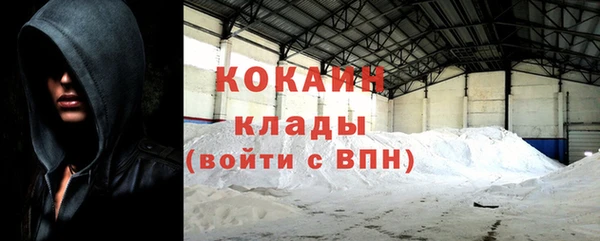 стафф Ельня