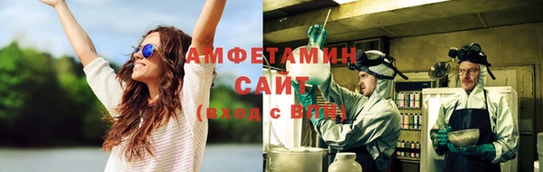 сатива Елабуга