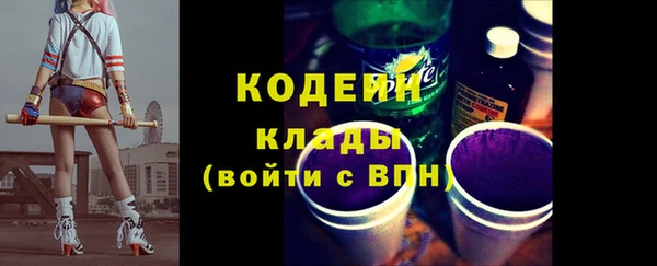 стафф Ельня