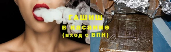 стафф Ельня