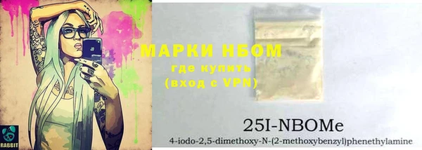 стафф Ельня