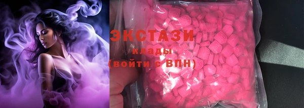 стафф Ельня