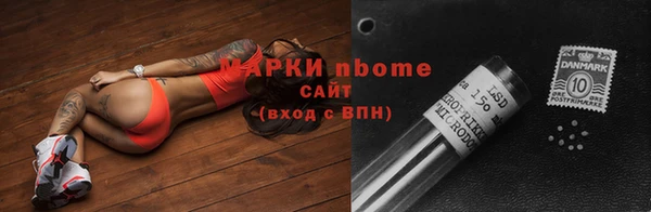 стафф Ельня