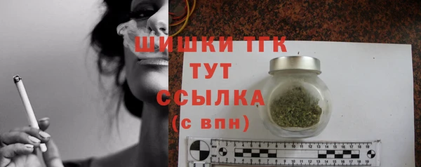 стафф Ельня