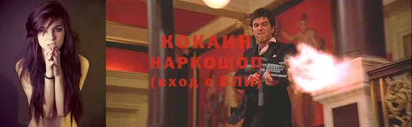 ECSTASY Елизово