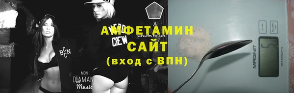 сатива Елабуга