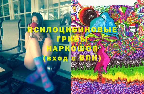сатива Елабуга