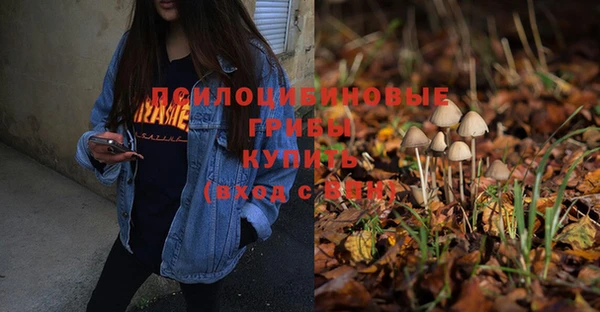 стафф Ельня