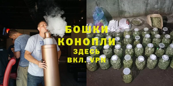 сатива Елабуга