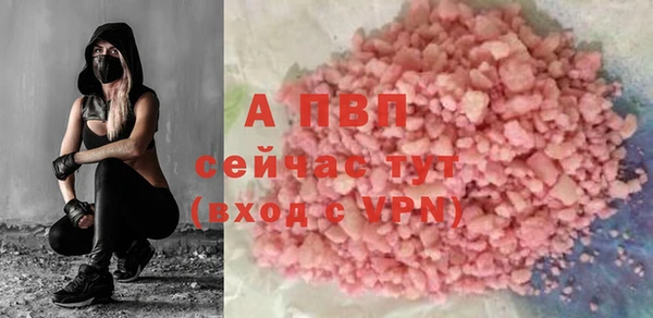 сатива Елабуга