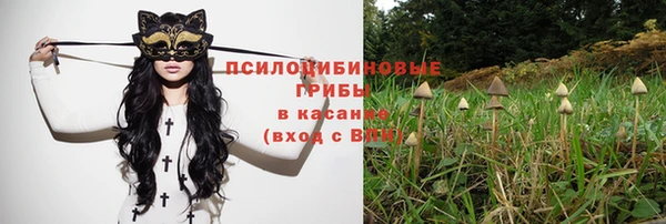 ECSTASY Елизово