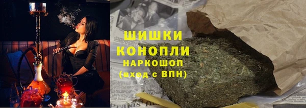 стафф Ельня